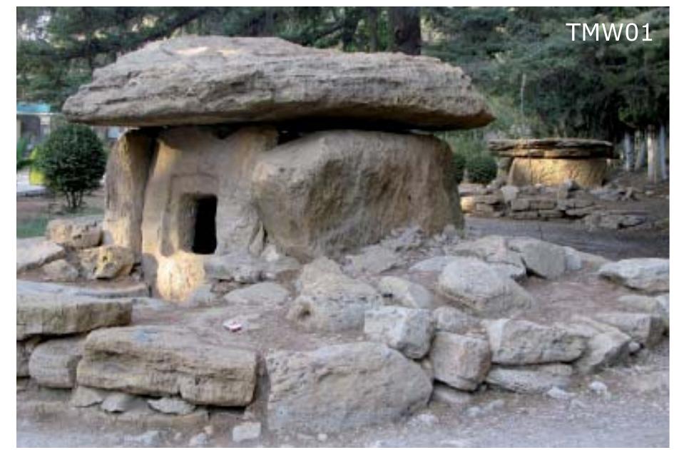 Tmw01 reconstruction of a dolmen from the jordan valley,