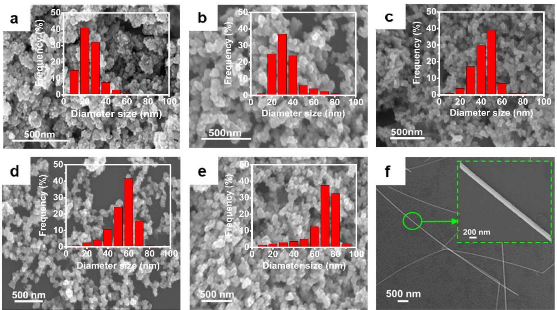 (a—e) scanning electron microscopy (sem) images of the ag np