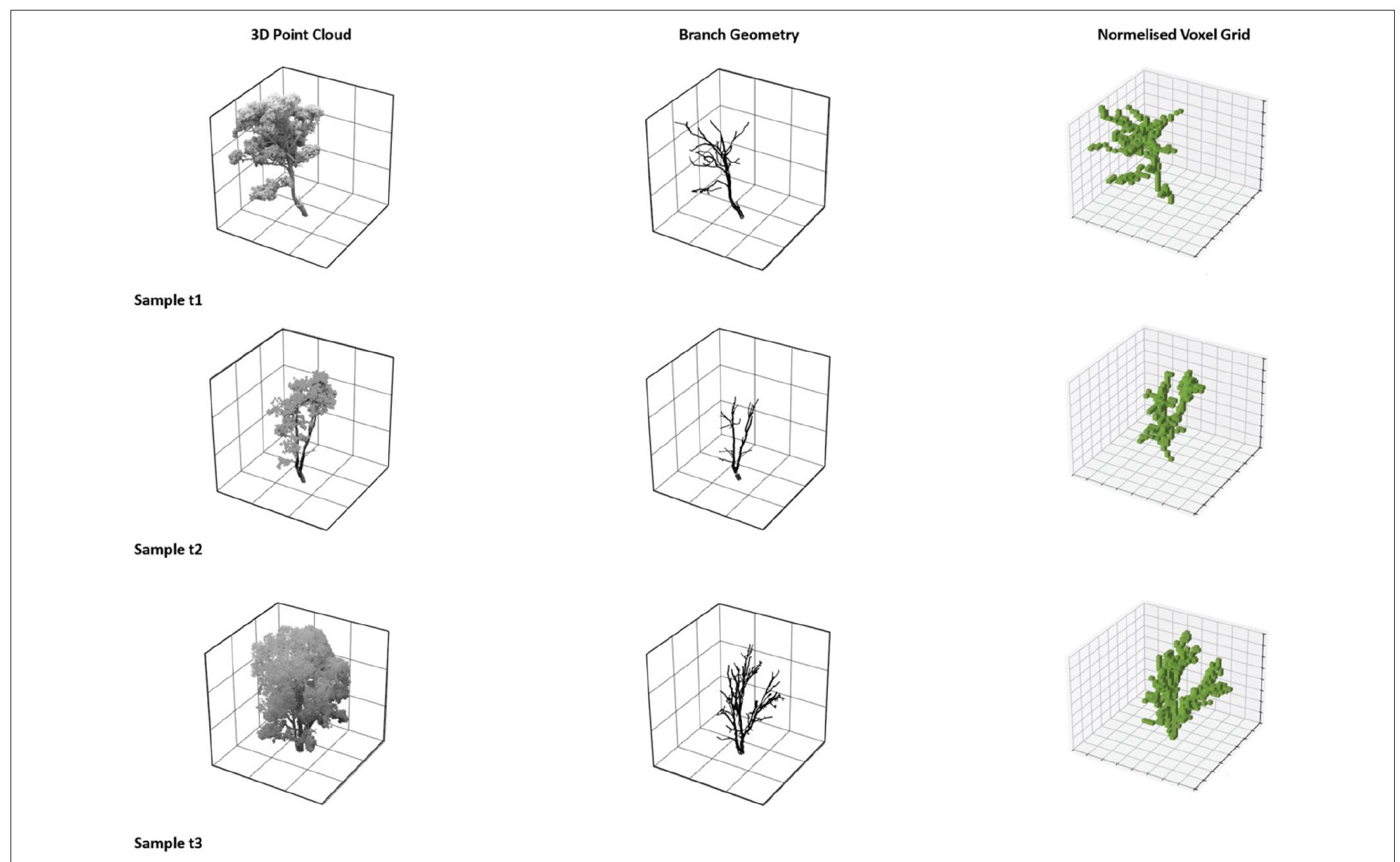 FIGURE 3 | Conversion of the 3D scans of existing trees into 32 x 32 x 32 normalised voxel representations to create the natural habitat-structure dataset. 