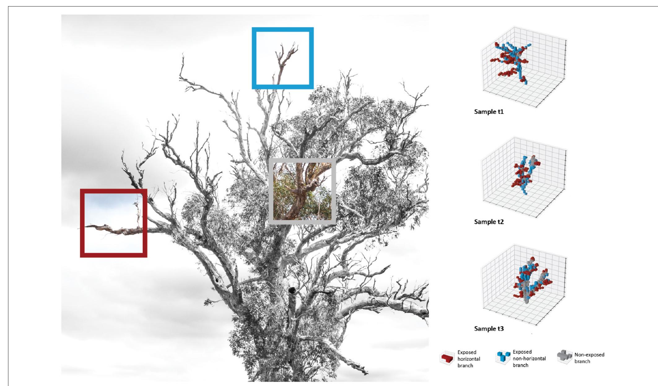 FIGURE 4 | Segmentation of 32 x 32 x 32 voxel representations. (Left) Select branch types in a large old tree. (Right) 3D segmentation of the sample tree dataset 