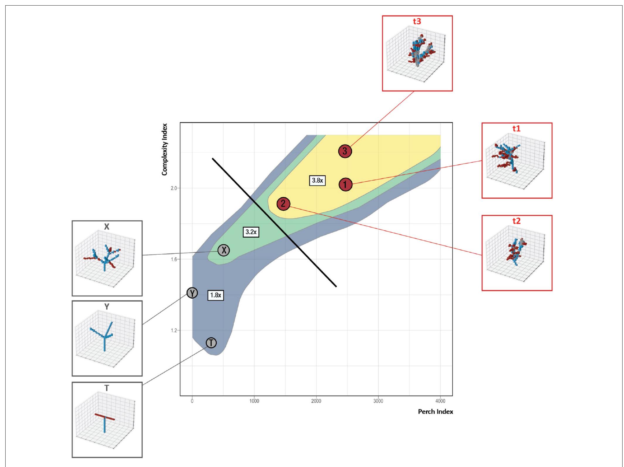 FIGURE 5 | Validation of measurement workflow through a comparison of the assessment routine outcomes and field observations of bird response to the same structural types. 