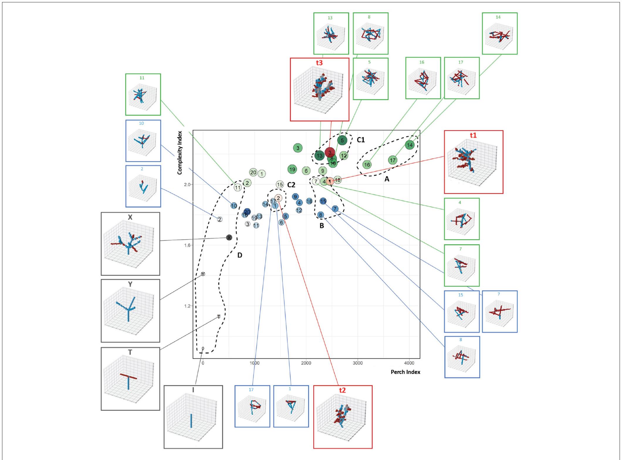 FIGURE 9 | Comparison between 3D representations of natural trees (red), human-defined simplified trees (grey), and forms synthesised by the 10-action agent (blue) and 20-action agent (green). 