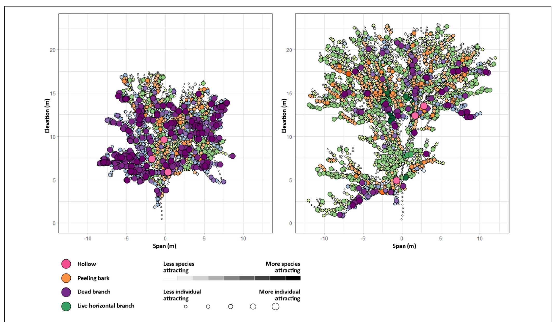 FIGURE 10 | Two large old trees from the full version of our dataset. 