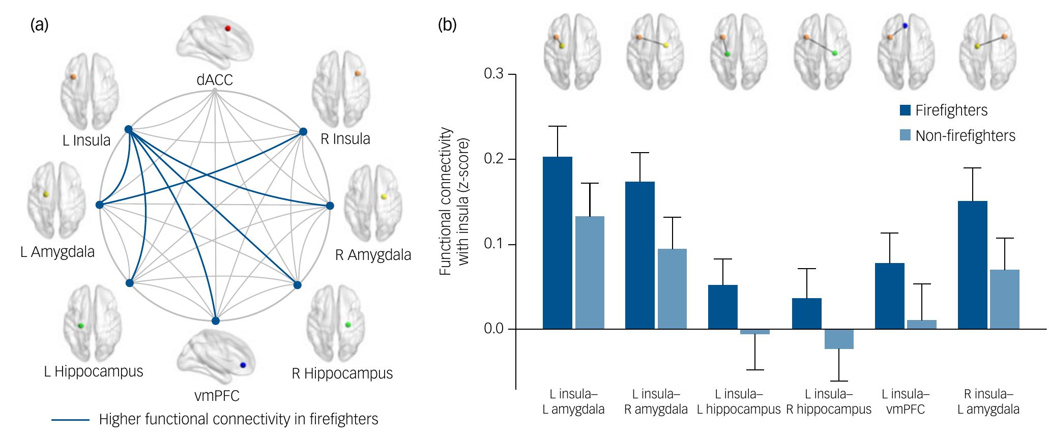 (PDF) Altered functional connectivity in the fear network of ...