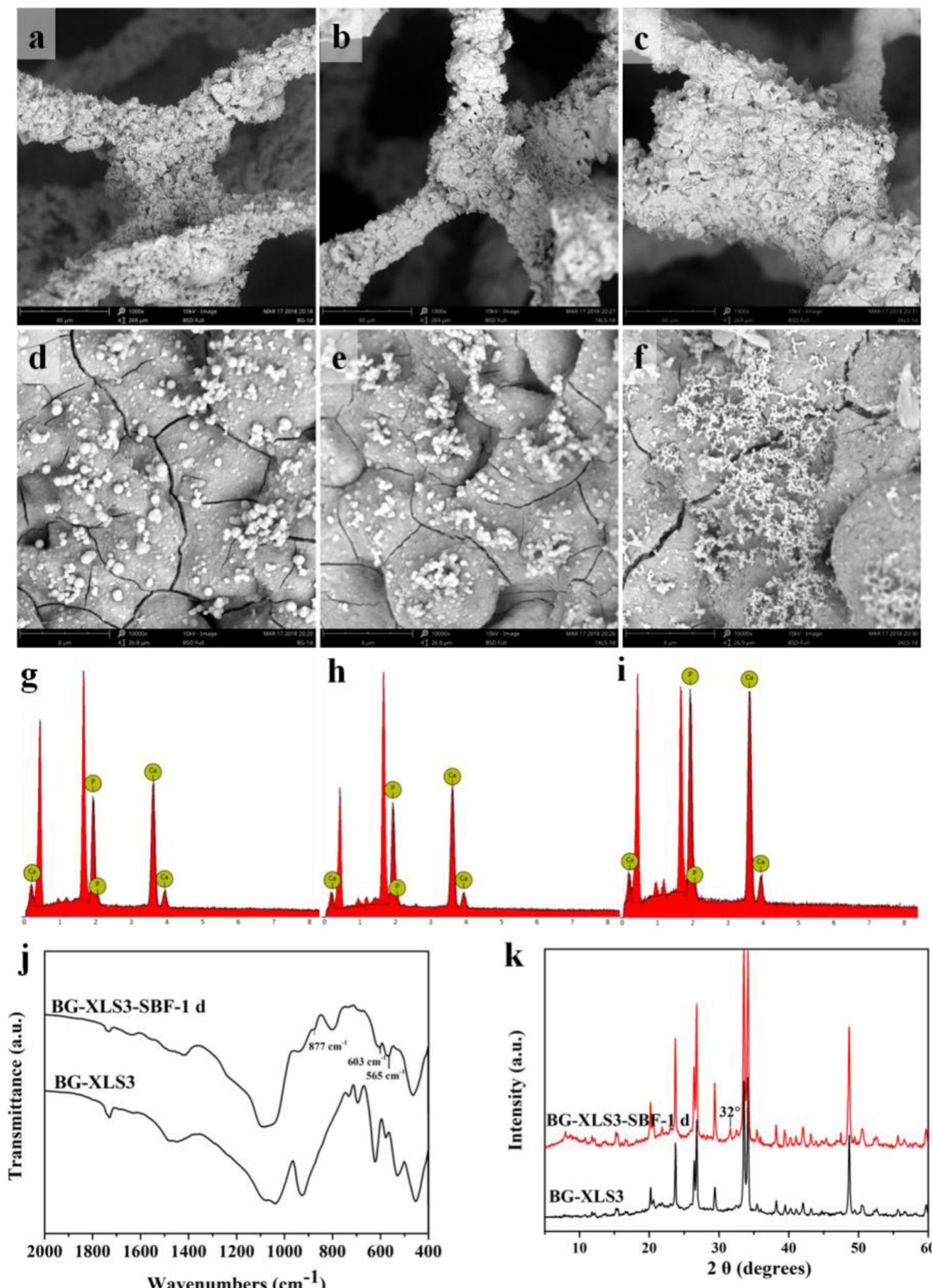 Sem images and eds spectra of (a, d, g) bg scaffolds, (b, e,