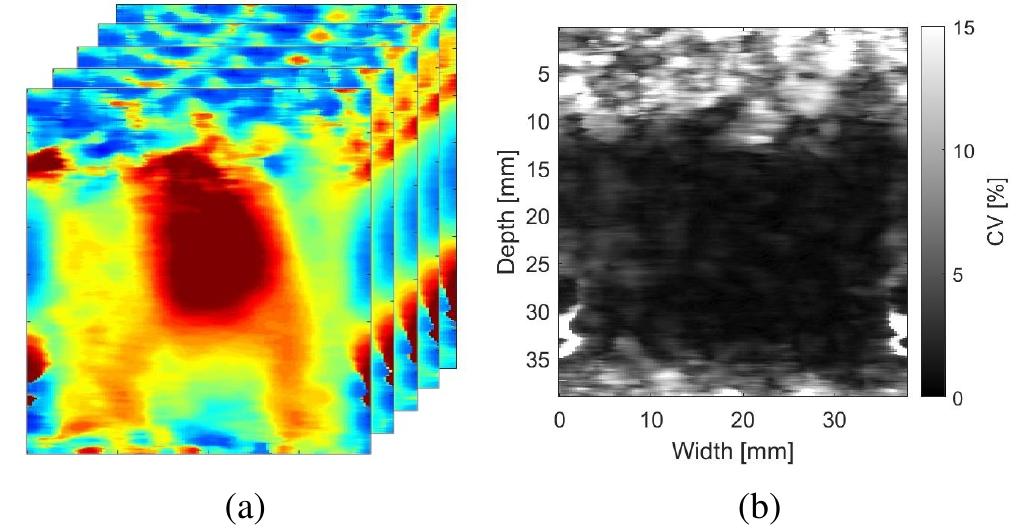 (PDF) Shear Wave Speed estimator using Continuous Wavelet Transform for ...