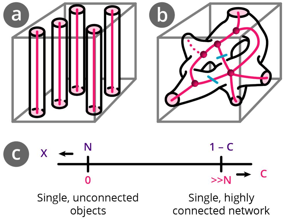 Unconnected Network Schematics of pore space and pore space skeleton- isation of