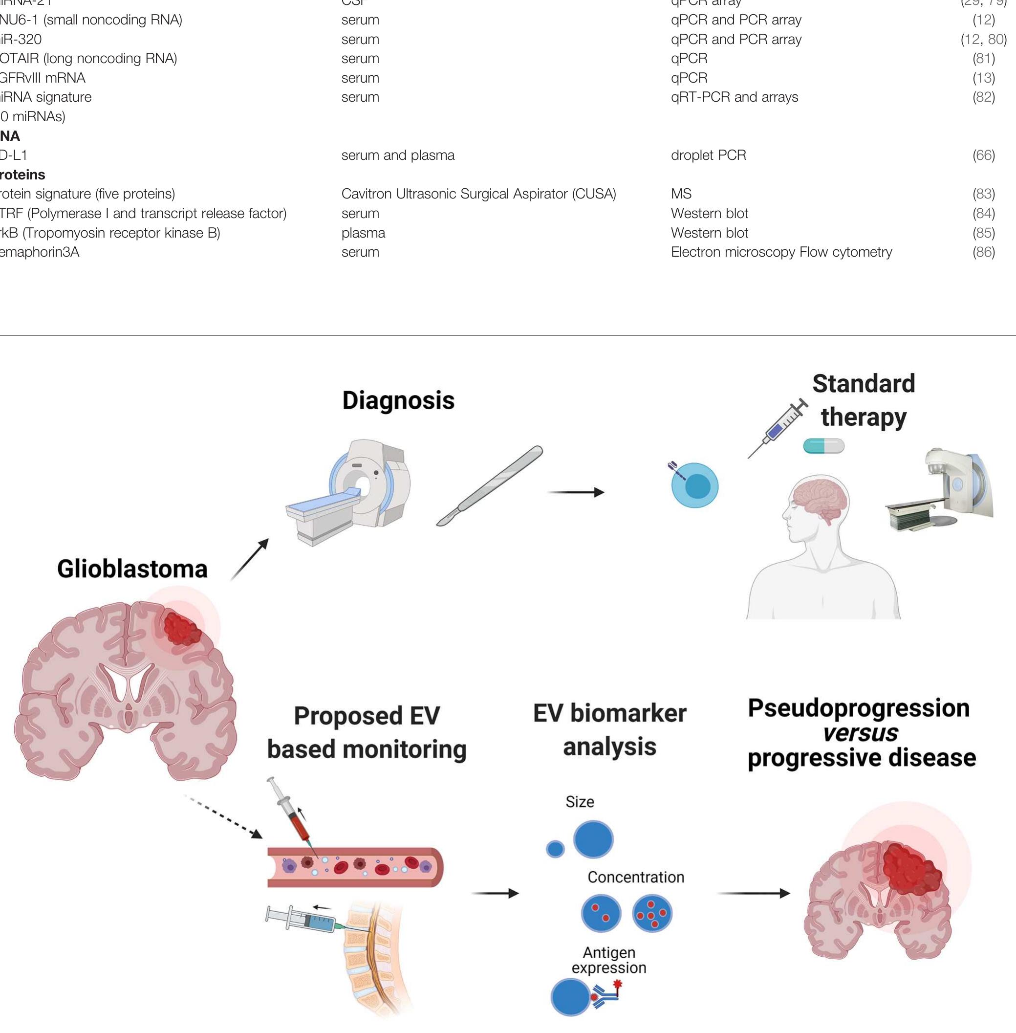 PDF) Impact of the Glioma Microenvironment on Antitumor Immunity.