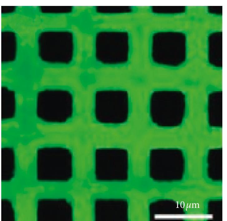 Schematic illustration of graphene photochlorination [39].