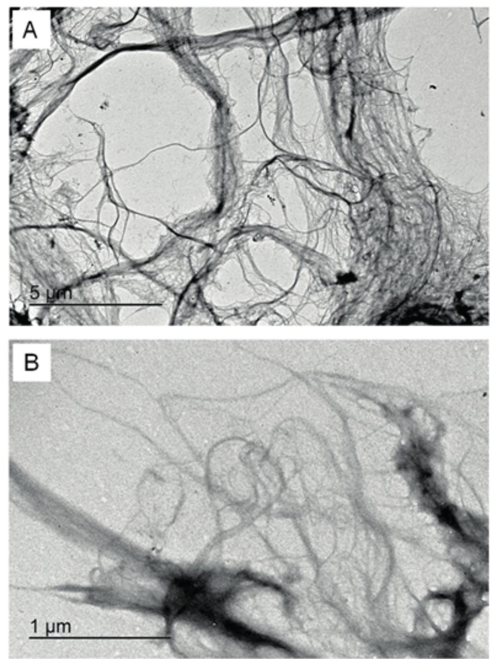 (PDF) Nanofibrillated Cellulose as an Additive for Recycled Paper