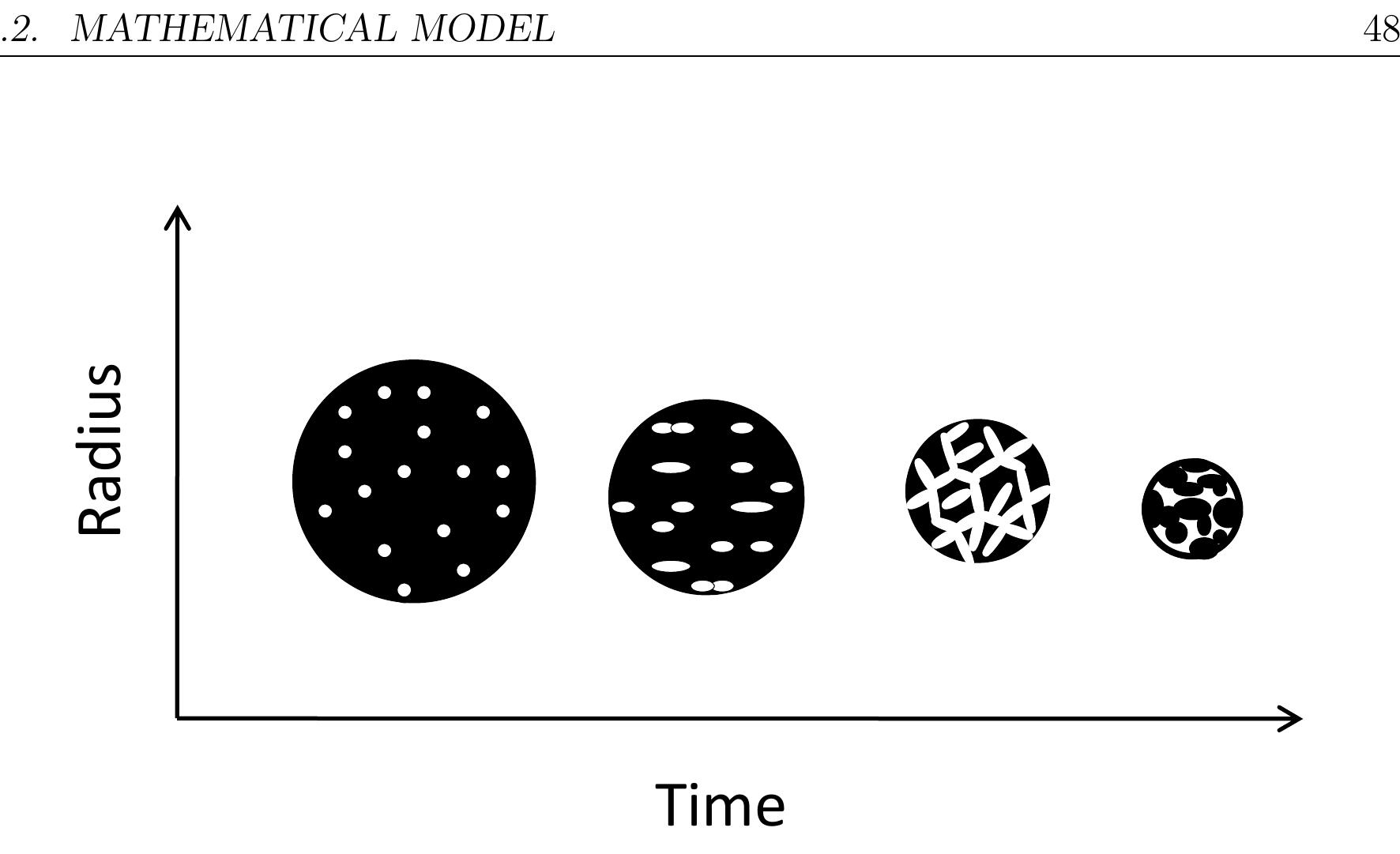 Figure 4.3: Schematic diagram of the particle shrinkage and porosity with time  layer because of attrition during combustion in the kiln. 