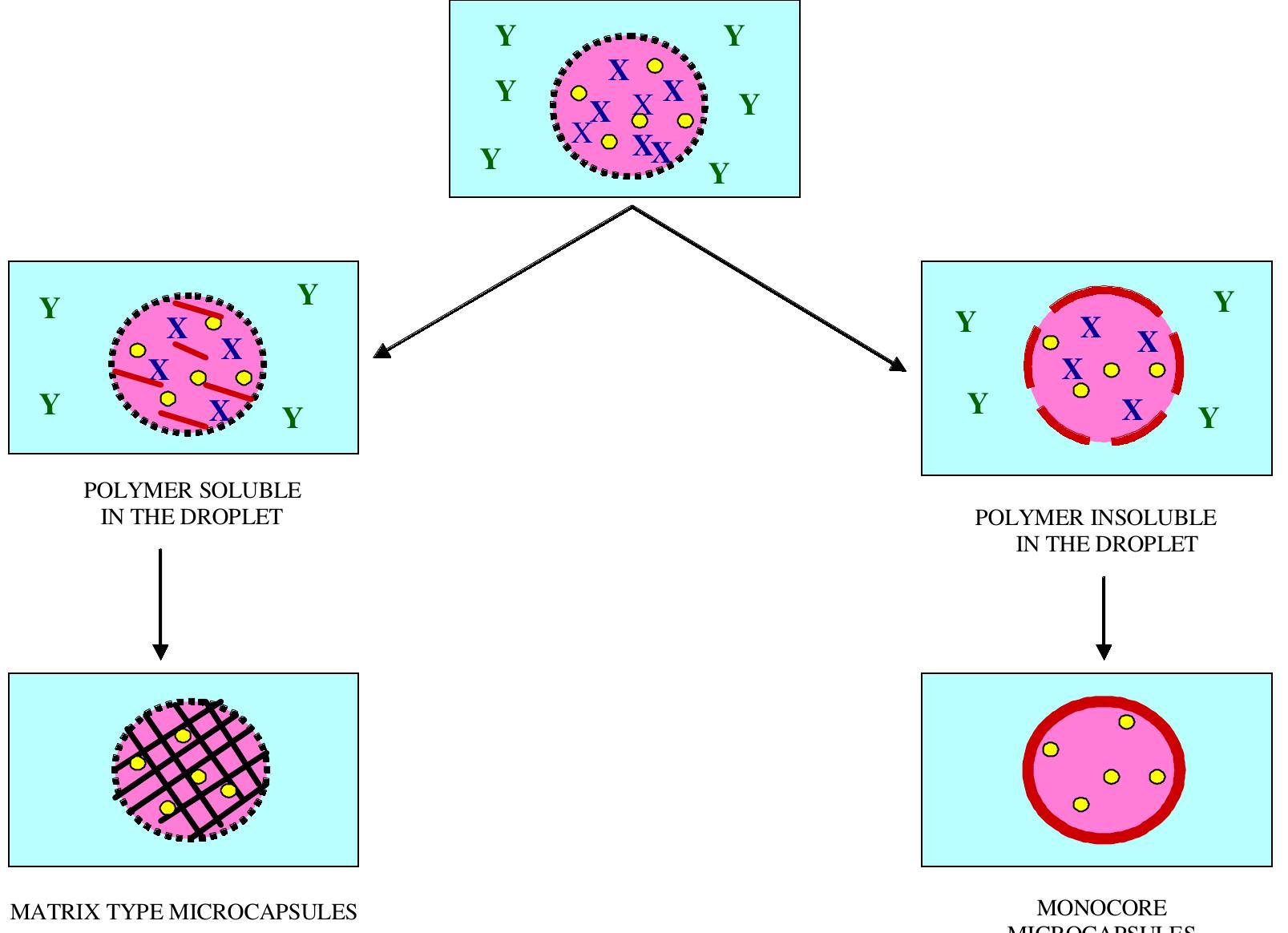 (PDF) Microencapsulation Technology and Applications