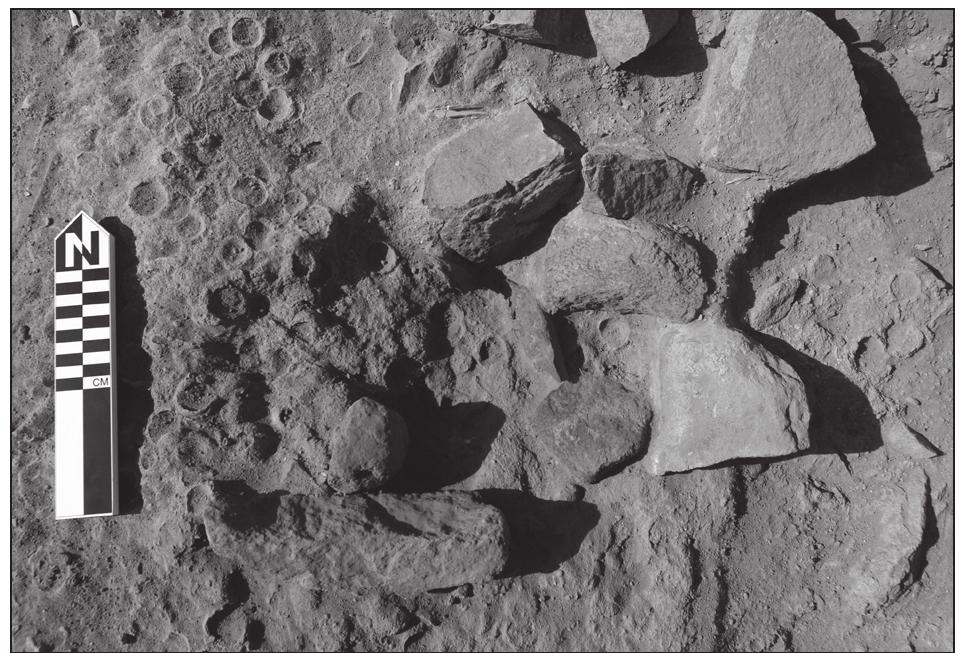 3. Small, short-lived, stone-lined hearth of the Transitiona Early LN / Later LN phase; note disturbance by Polyphyllc sp. beetle larvae. 