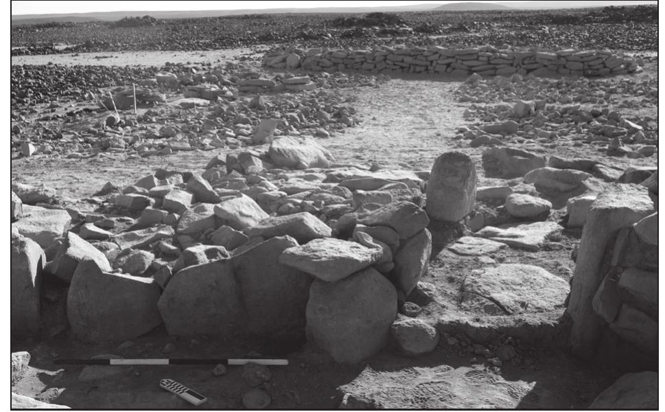 5. Final LN phase entrance ‘corridor’ to W-80, curving past the platform to left which now fills the north-east forecourt.  During the Final LN phase, it seems that he by now ancient main structure of W-80 functioned less as a heavily invested place of primary residence than as an expedient and ikely intermittently utilised “windbreak with numerous renovations for a variety of tasks,  including butchering, grinding stone activity, ithic production, and bead manufacture”  (Rowan et al. 2015a: 4). Although the nature of he cultural deposits hints atrepeated intermitten visits over many years, in the absence of any radiometric dates for this phase it’s impruden o speculate as to its temporal extent or the  intensity of occupation it represents. The lates  