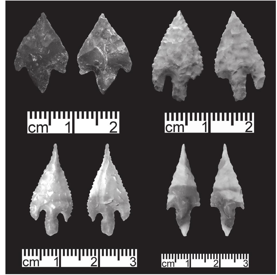 6. Haparsa points from W-80 (photographer G.O. Rollefson).  (Rollefson et al. 2018a). Of the 132 classifi- able arrowheads (cf. Table 3), 88 (66.7%) were versions of transverse types, which contrasts considerably with the 87.3% level seen in the upper levels from earlier excavation seasons 