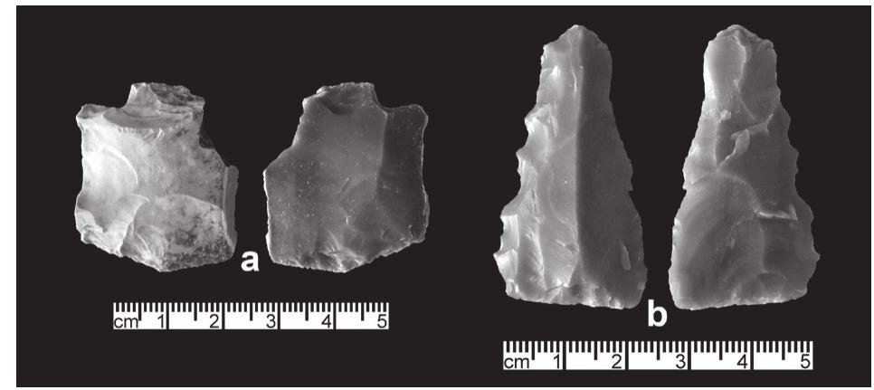 10. (a) Wedge with heavy patination on one surface from W-80; (b) denticulated wedge from W-80 (photographer G.O. Rollefson).  12). More frequent than any other tool type ex- cept points and denticulates, wedges (or piéces esquillées / splintered pieces) are generally small flakes or blades that bear opposed batter- ing on the ends of the piece (bipolar wedges) or on the lateral edges (lateral wedges), or both. In view of the marshy environs around Wisad Pools (see 5 below), wedges would have been useful for splitting wood and reeds. 