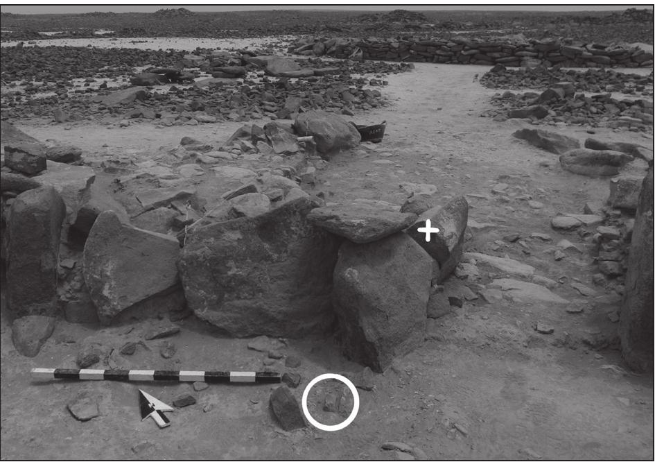 17. Red ochre block in situ (circled) just inside W-80 Later LN phase north-east doorway; location of perforated mother- of-pearl plaque in wall behind north-western jamb of door- way also shown (cross [see also Fig. 4]). 