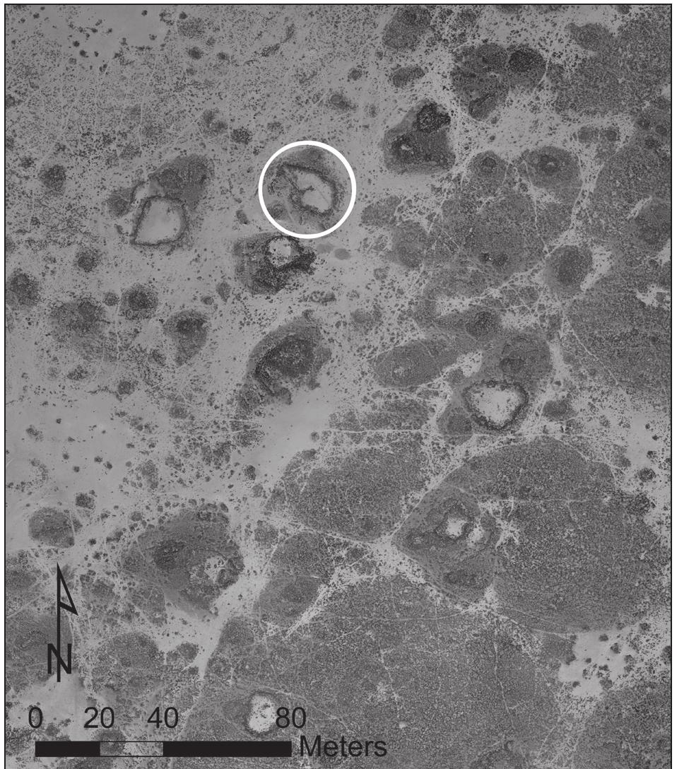 19. Aerial view of hut-and-enclosure compounds, including W-400 (circled), on the north-west margin of the LN core area at Wisdd Pools.  Owing to the primary focus of work at W-80, our 2018 excavations at W-400 (Fig. 19) were limited in scope. This complex was selected for investigation because it was an unlooted, rela- tively small, Timnian-type (Rosen 2017: ch. 8) hut-and-enclosure compound of a type we were already familiar with from previous research  along Wadi al-Qattafi (Wasse et al. 2012). 