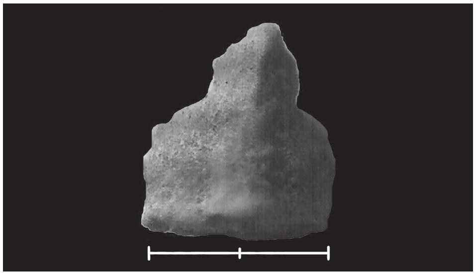 Sediment samples recovered in 2018 from hearths and fire pits yielded, through the flota- ion process, an interesting assortment of plant remains that contribute to our understanding of environment and seasonality at Wisad Pools. From the 11 samples that were analysed (nine from W-80; two from W-400), 15 different gen- era, as well as specimens from five families that could not be more specifically identified, were documented. All taxa are wild, although a large Gramineae (cereal-sized but poorly preserved) and legume warrant further investigation. As in previous seasons (Rollefson et a/. 2018: tab. 1), the most abundant seed was from the genus Arnebia (Arnebia) (Fig. 21), which were not charred and were a whitish yellow colour. Spe- cies in this genus are commonly desert annuals or perennials and have roots that can produce a red or violet dye (Feinbrun-Dothan 1978: 68- 70; Betts et al. 1998: 188); they are also known to havea many medicinal properties (Rollefson et al. 2018: 537 and references therein). It may be noted in passing that sparse charred remains of Arnebia were found in both Late PPNB and LN contexts at ad-Duwaylah (Betts et al. 1998: 188, tab. 9.2). Aizoon (stonecrop) is the next most common genus in the 2018 samples from Wisad Pools; it has many species that are gen- erally herbs or low shrubs. These plants can be  found in dry watercourses and oases in hot des- erts (Zohary 1966: 74-75).  