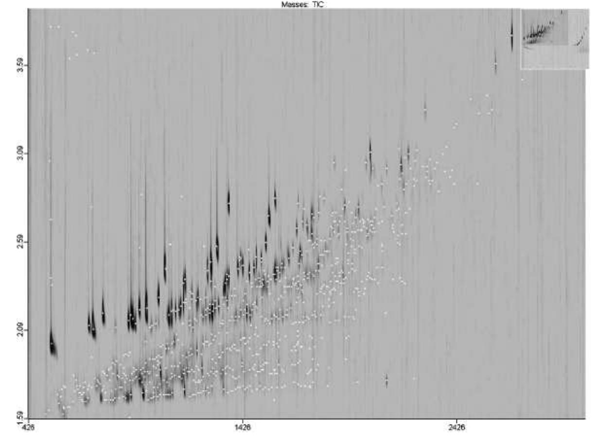 Figure 1. GCxGC total ion chromatogram for hydropyrolysis products from Cold Bokkeveld. 