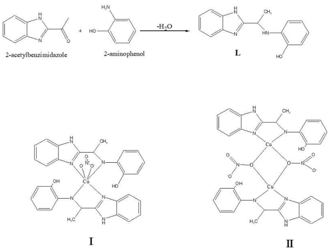 Synthesis of schiff base l and complex i and ii.