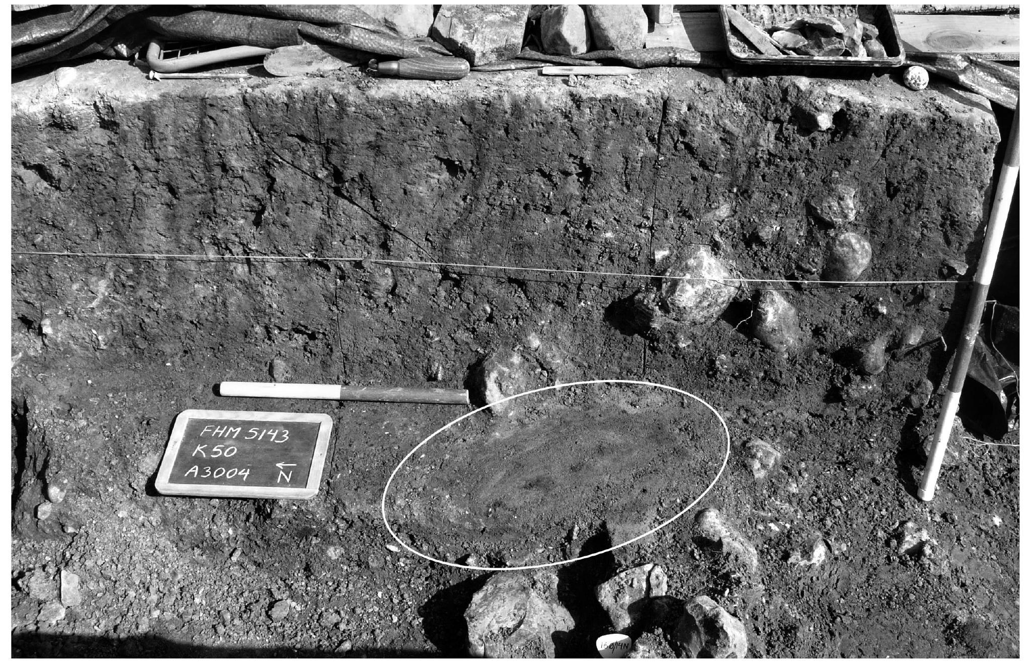 Ross Wolfe | The Charnel-House, image size:2039x1314