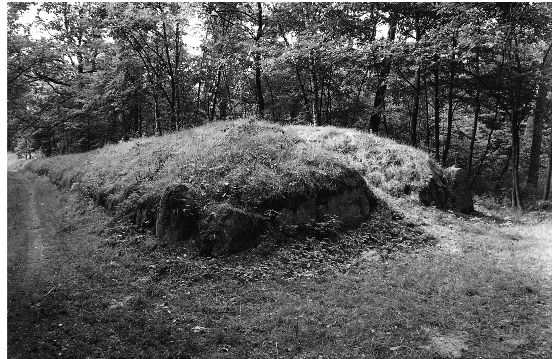 27 | DEBATE FALL 15, image size:1796x1163