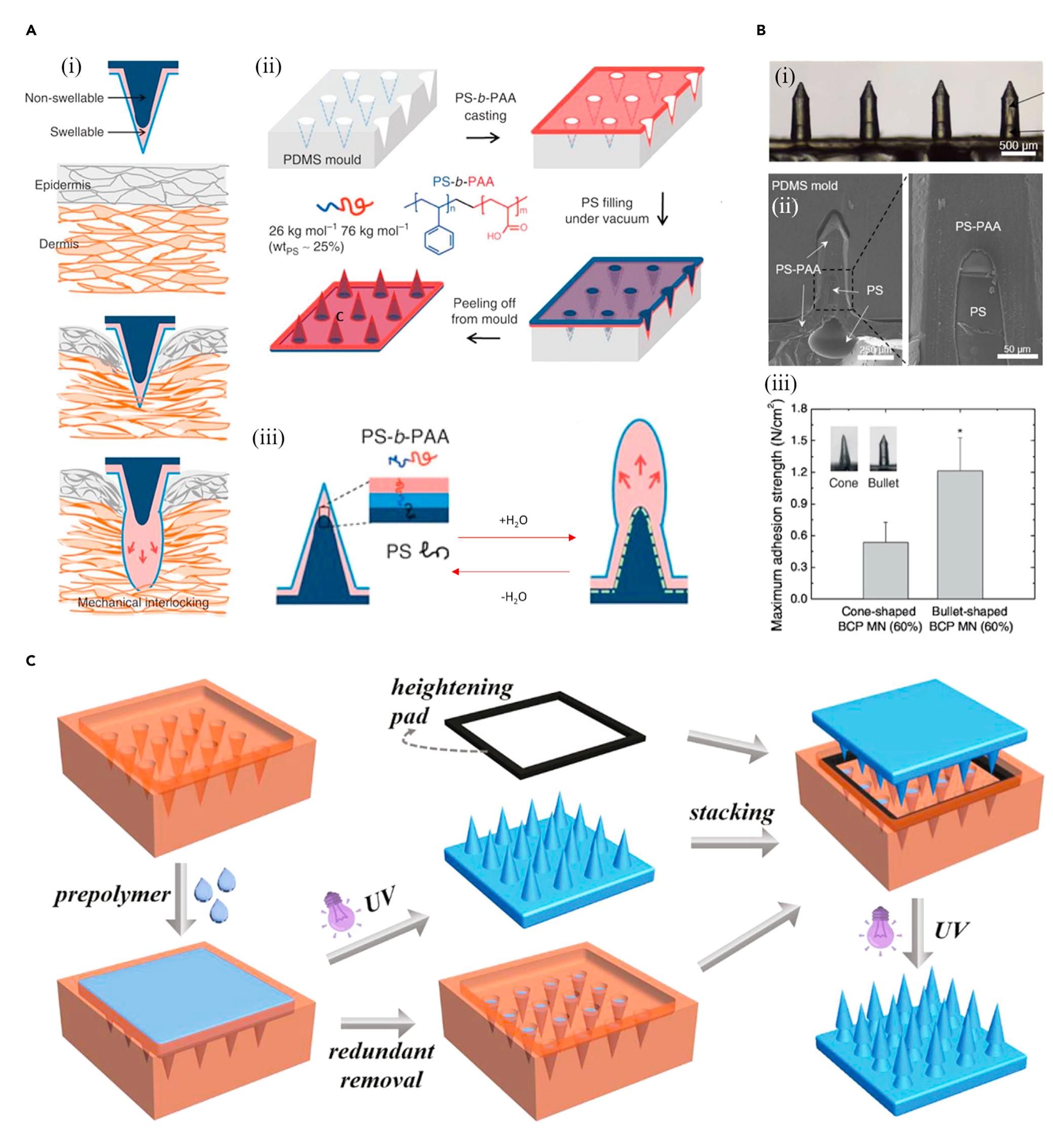 (PDF) Bioinspired microneedle patches: Biomimetic designs, fabrication ...