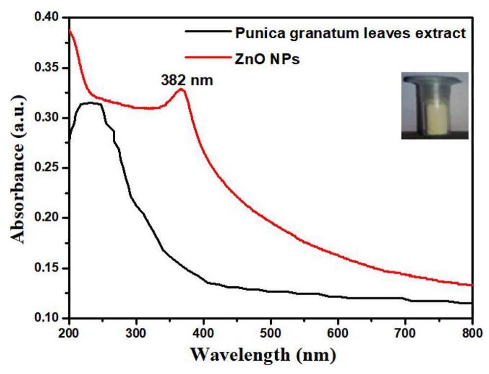 Uv-visible spectrum of zno nps and p. granatum leaves