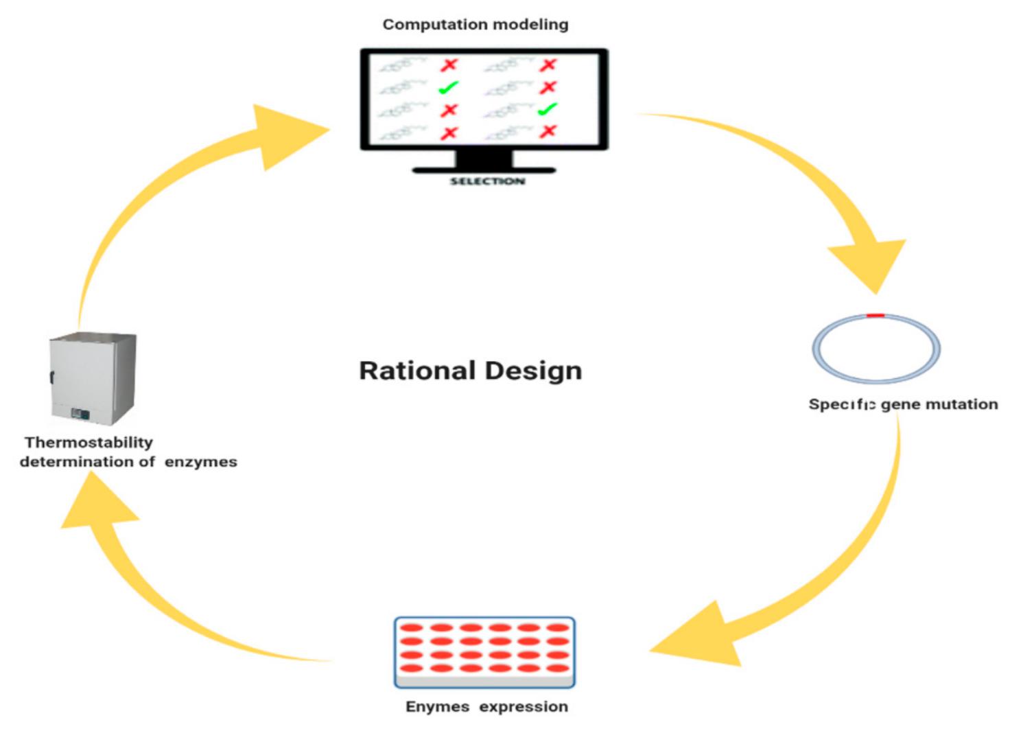 Ownership Rationale Design Schematic representation of the rational design, created by