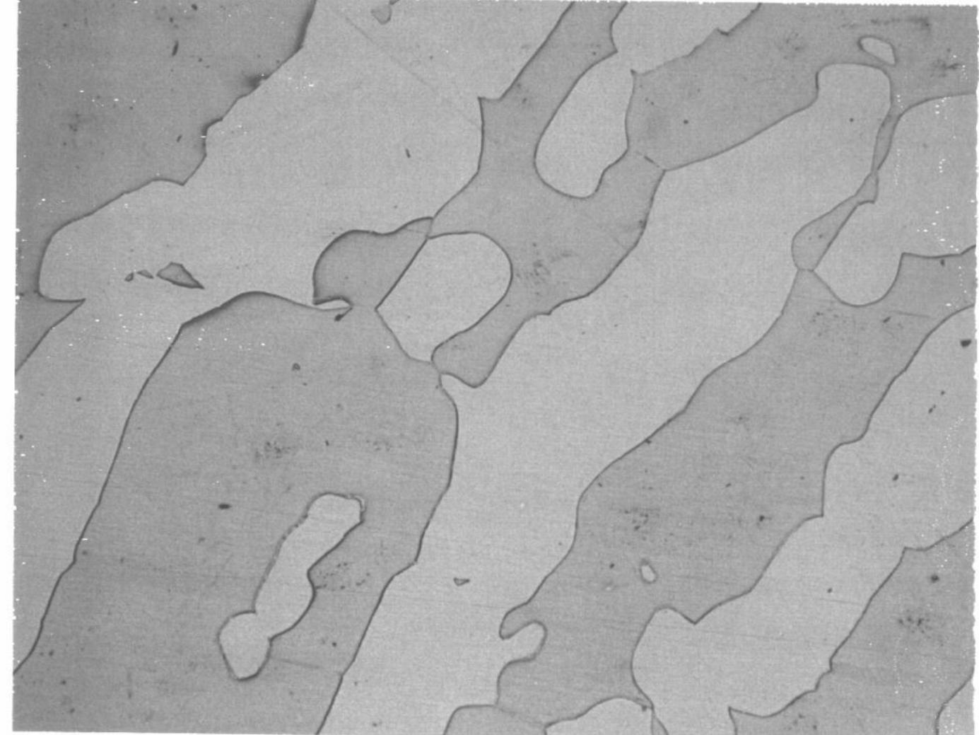 Microsection Compound Microsection of 25%cr forging showing no third phases at