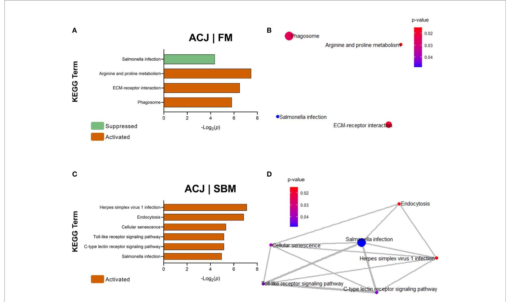 Figure 57 - from ORAL IMMUNE-ENHANCING RESEARCH IN FISH