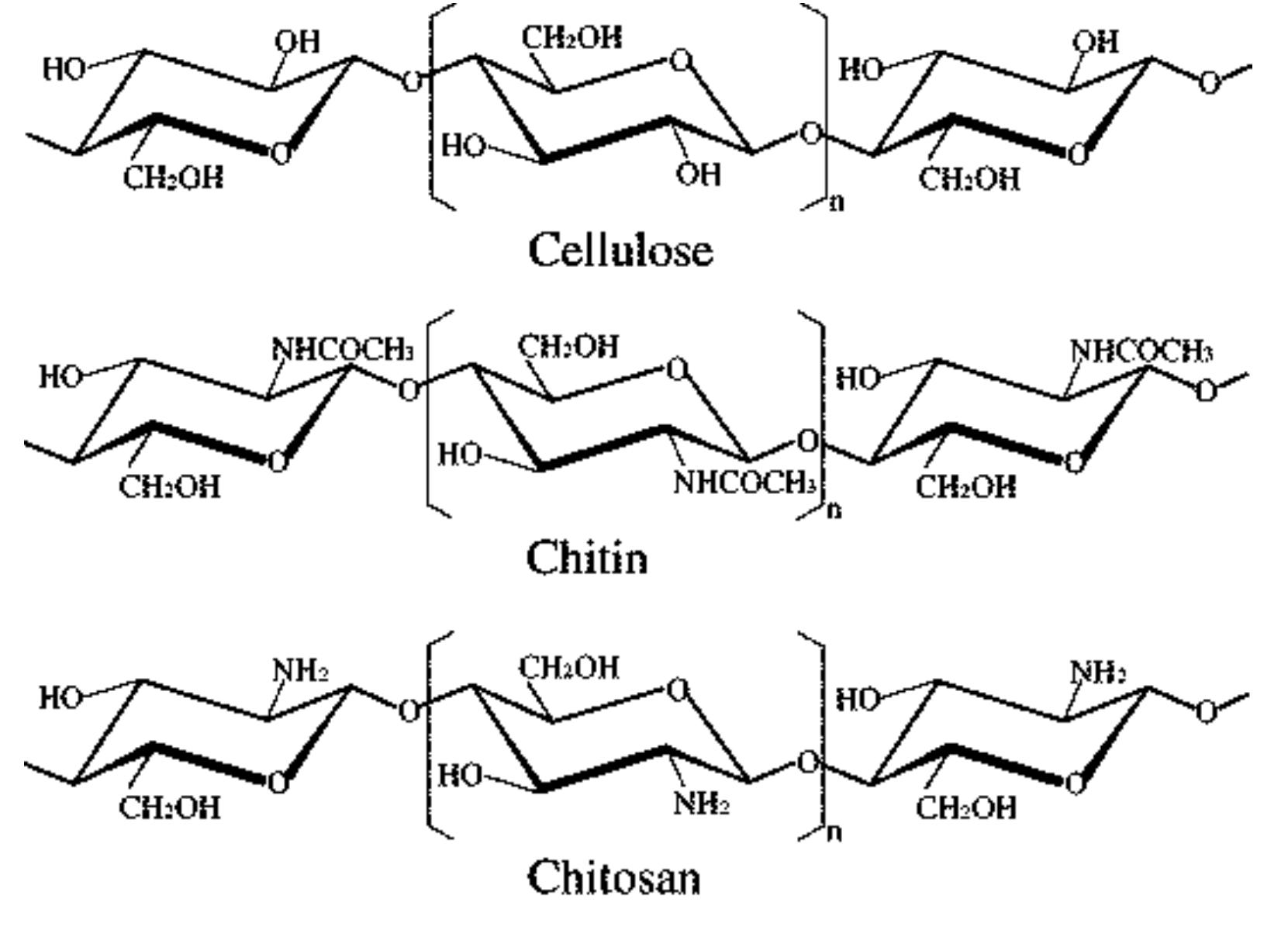 (PDF) A Process for the Preparation of Chitin and Chitosan from Prawn ...