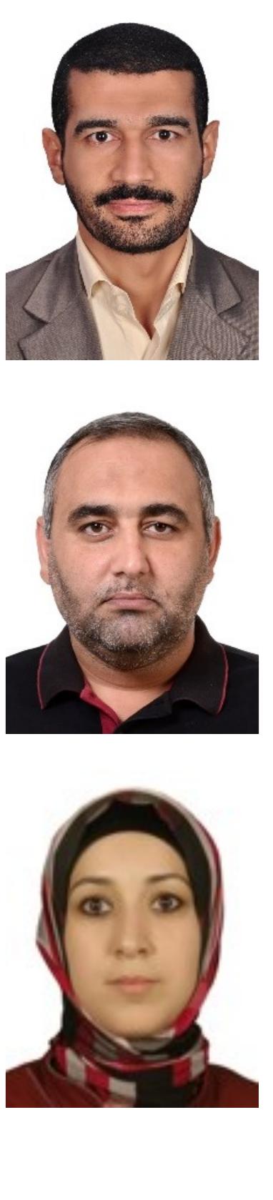 BIOGRAPHIES OF AUTHORS