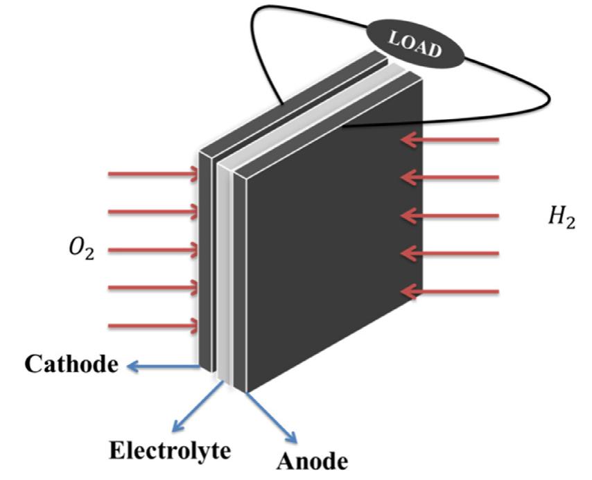 Schematic representation of membrane electrode assembly of