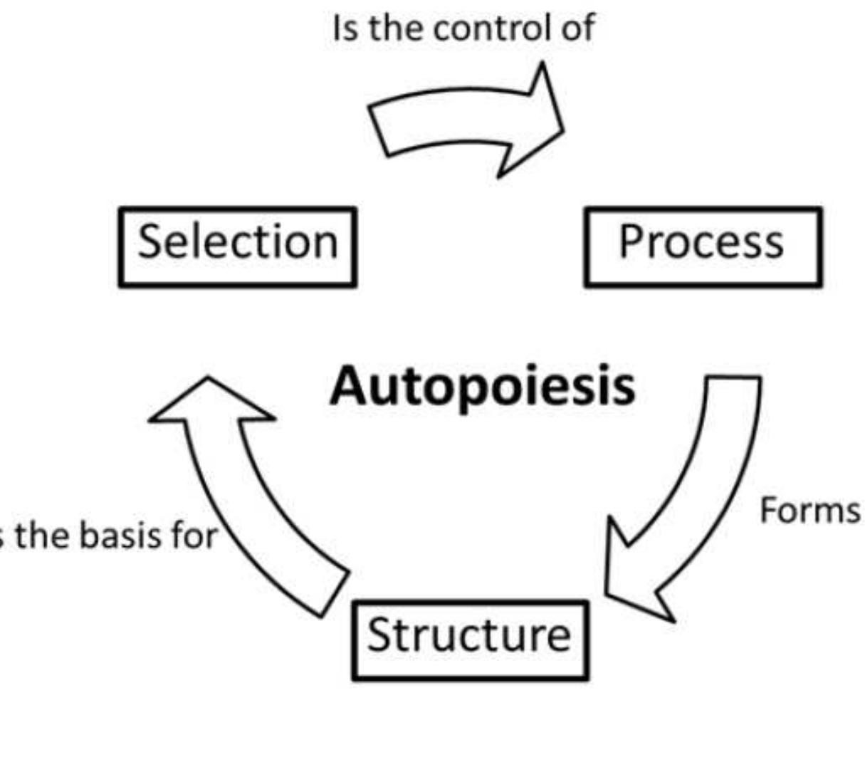 (PDF) Organizations and Autopoiesis: a Biological Perspective