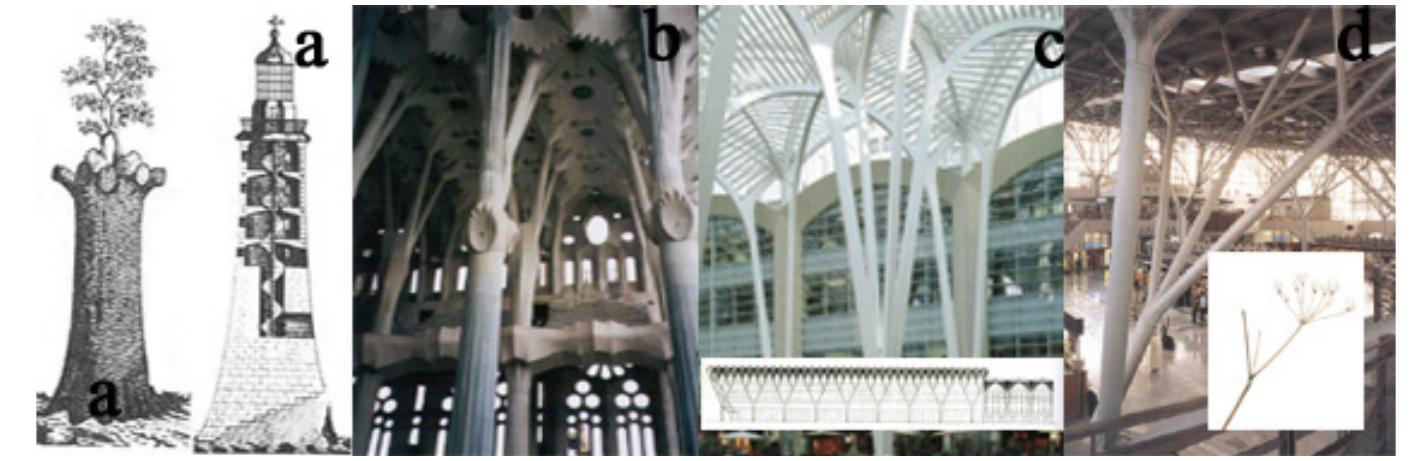 (PDF) Similarities between structures in nature and man-made structures ...