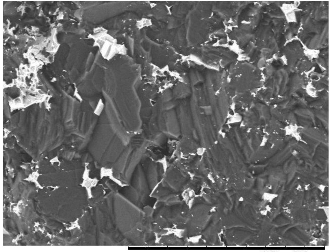 Scanning electron micrograph showing the fracture surface of