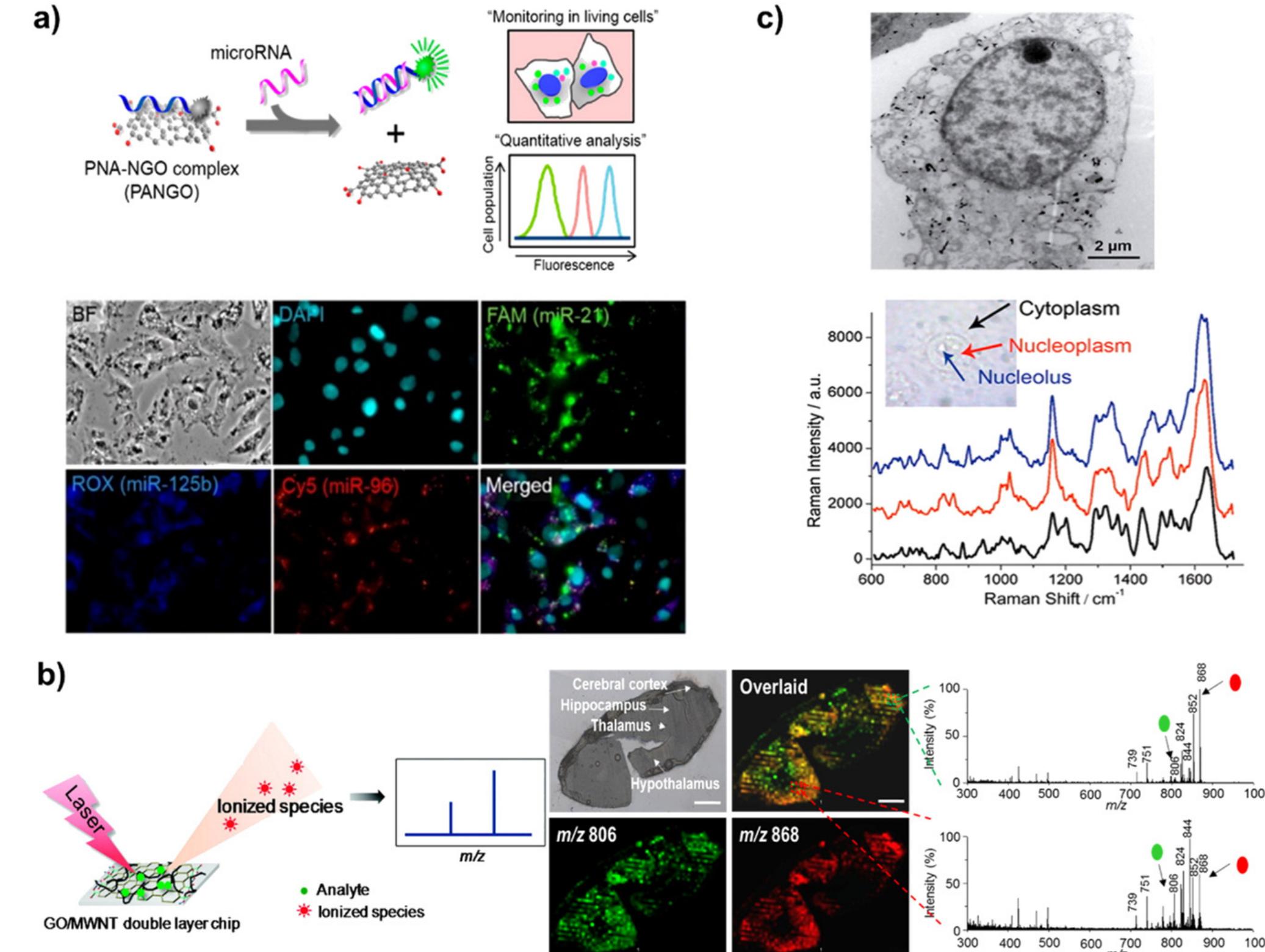 (PDF) Biosensors based on graphene oxide and its biomedical application