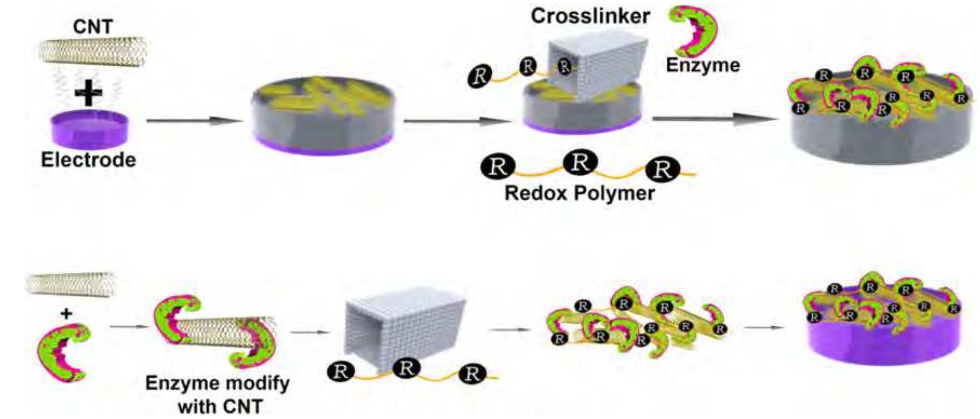 The example of glucose biosensor based cnt. [35] a roadmap