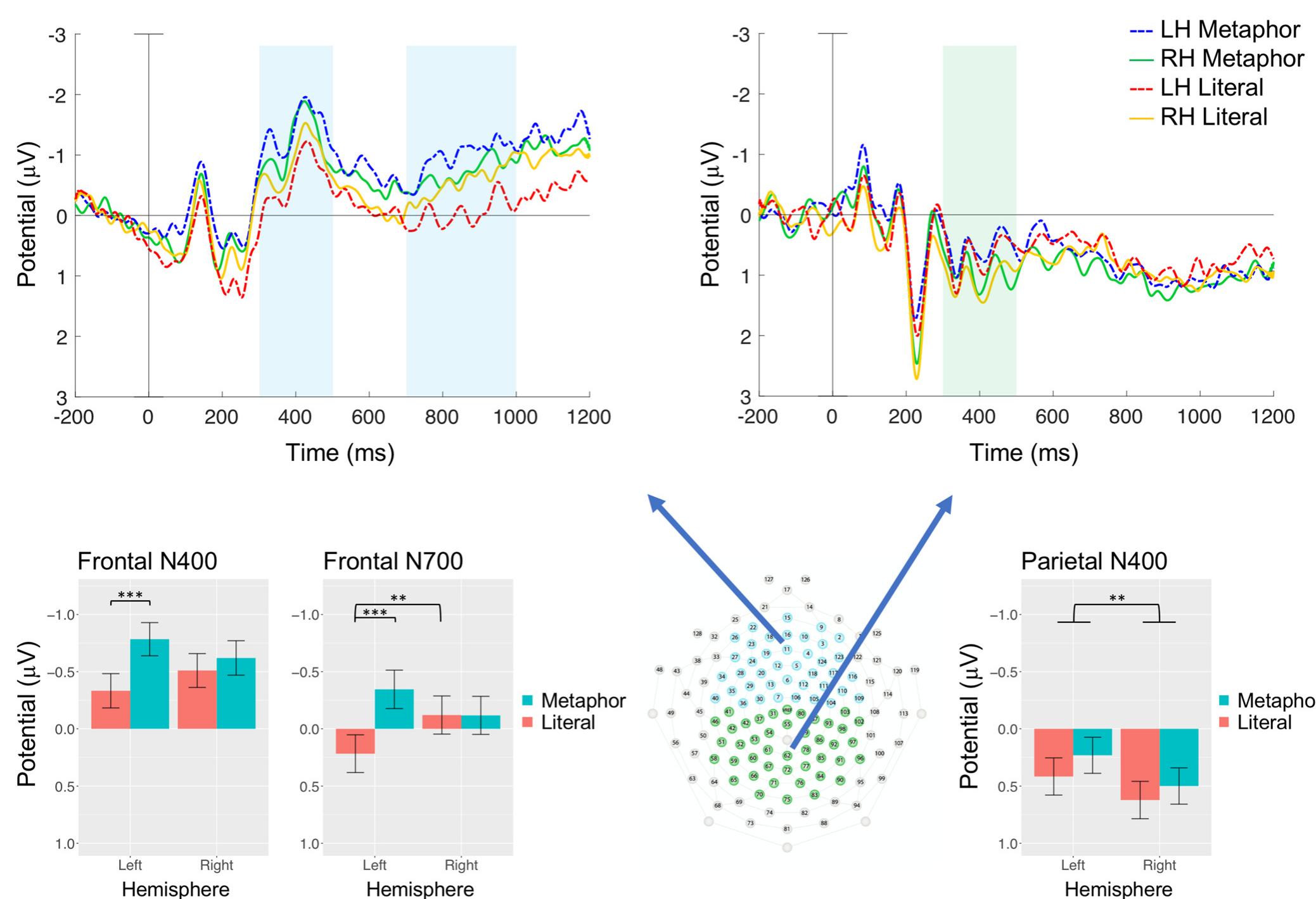 Figure 1. ERP responses on a frontal (Fz) and a parietal (Pz) exemplar electrode (upper left and right panels, respectively). Blue shades in- dicate the N400 (800-500 ms) and the N700 (700-1000 ms), the green shade the N400 time window. Negative is plotted upwards. Lower panels show bar charts of amplitudes averaged within the predifined time windows and over electrodes in the frontal and parietal Regions- of-Interest, which are shown in the middle. Error bars indicate 95% confidence intervals (po < 0.01, *%* < 0.001). Metaphors evoked an enhanced frontal negativity relative to Literals both in the N400 (800-500 ms) and the N700 (700-1000 ms) time windows during right visual field / left hemisphere (LH) presentation. This effect was the more enhanced the more abstract the metaphors were, and it is unique and specific to the processing of metaphorical senses of concrete words (“sweet”); no such effect has been reported before for novel metaphors or non-sentential stimuli. Literals evoked a greater frontal negativity in the N700 time window during right hemisphere (RH) relative to LH pre- sentation, which corresponds to a typical concreteness effect. Both metaphorical and literal novel word pairs evoked a greater parietal neg- ativity in the N400 time window during LH compared with RH presentation: contrary to some prominent language lateralization models, novel expressions engaged the LH more than the RH. Grand-average ERP plots over all electrode sites for LH and RH presentation are pro- vided in Extended Data Figures 1-1, 1-2, respectively. Electrophysiological evidence of successful lateralized presentation of target words is presented in Extended Data Figure 1-3. 