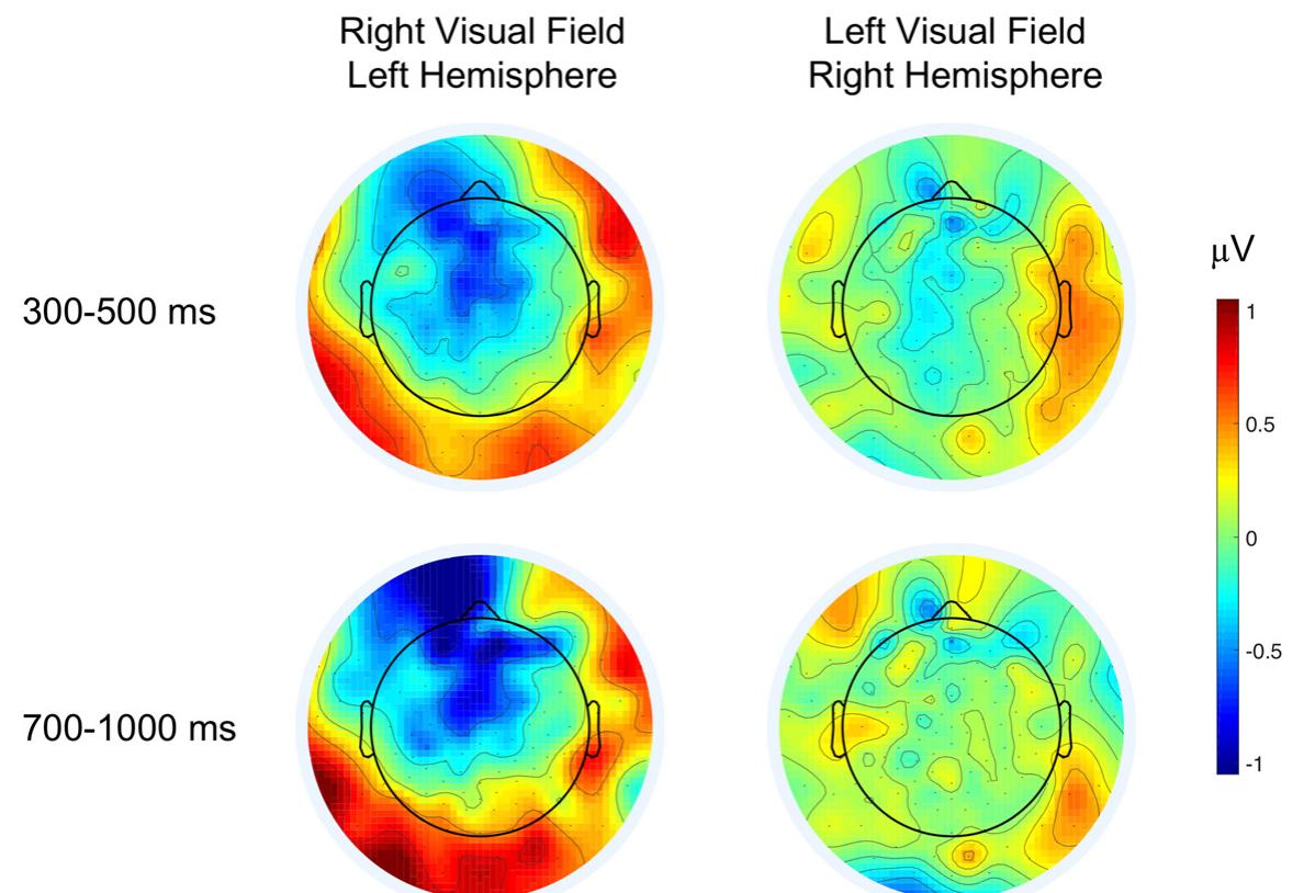 Figure 2. Topographical difference maps (metaphor-literal) of ERP responses in the N400 and N700 time windows for each hemi- field presentation. Blue colors indicate greater negativities for metaphors, relative to literals, which is apparent in both time windows over frontal areas during LH presentation. Extended Data Figure 2-1 shows topographical maps of the frontal effects in the side contrast (RH-LH) and demonstrates a typical concreteness for literal expressions in the N700 time window. Extended Data Figures 2-2, 2-3 show effects evoked at the prime word (noun). 