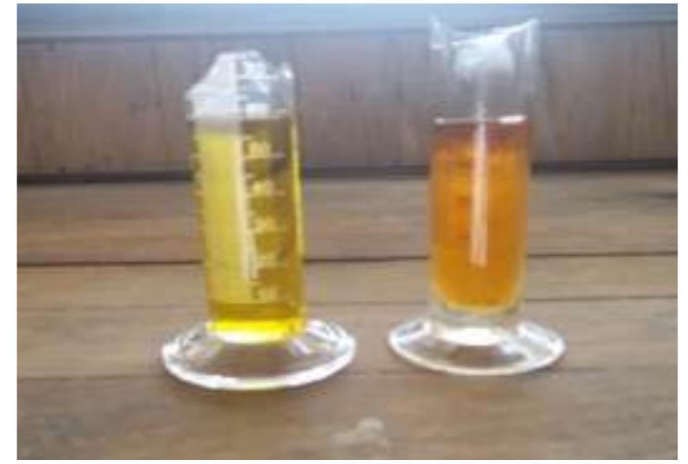 Figure 1. Seed oil and peel oil. 