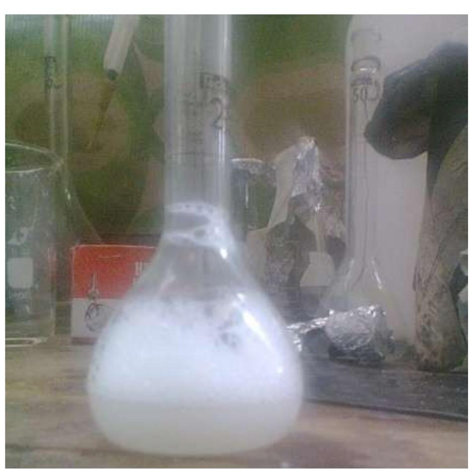 Figure 3. Soap foamability test. 