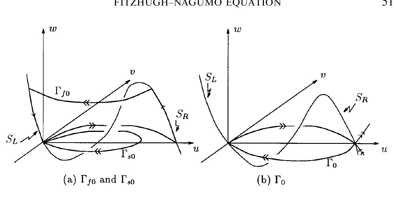 b！ PDF) Fast and Slow Waves in the FitzHugh–Nagumo Equation