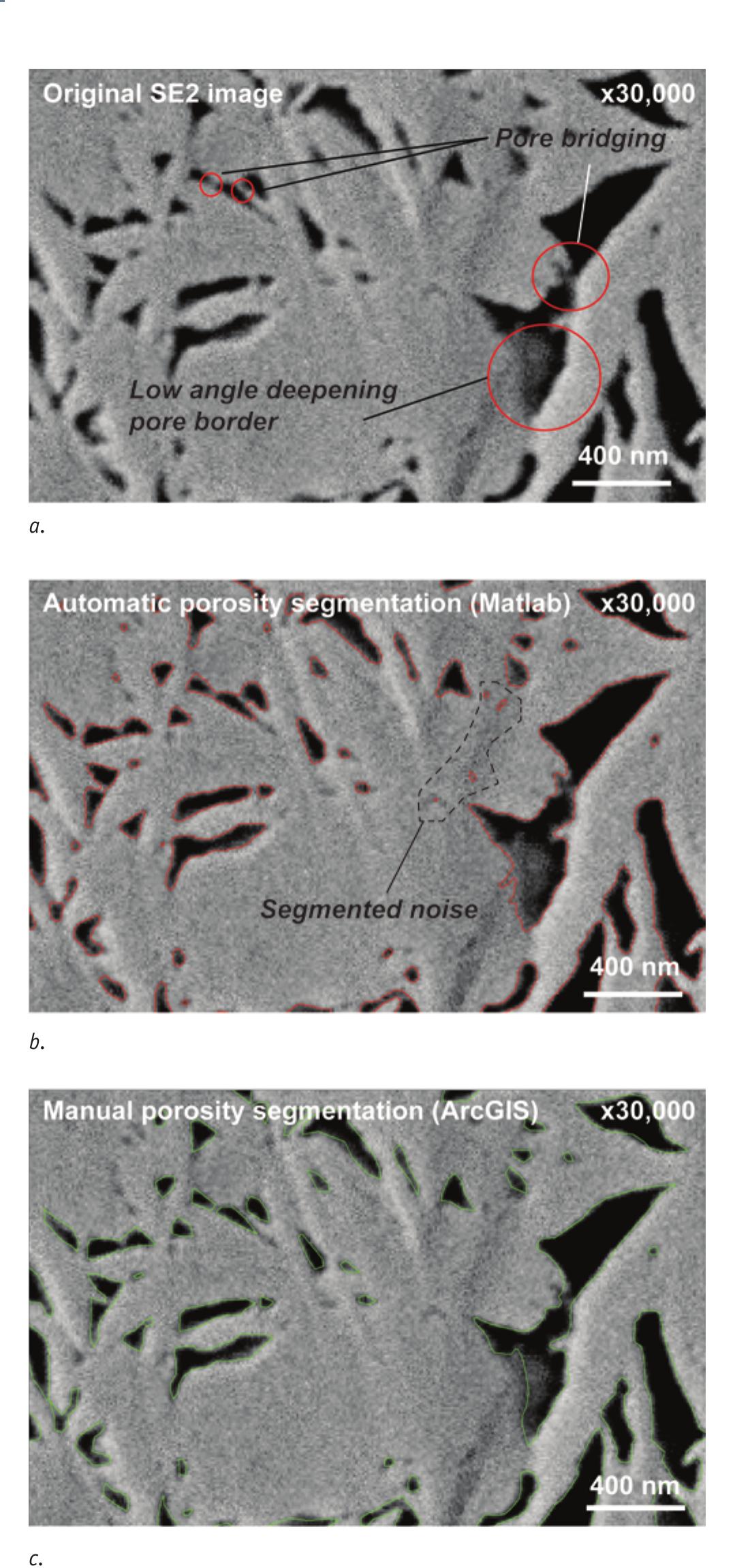 Porosity Object Samples Figure 4 - from Variations in the morphology of porosity in
