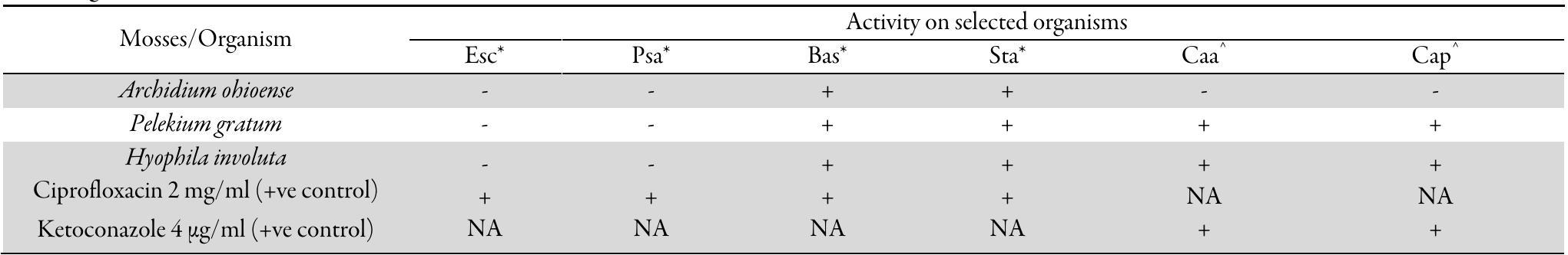 Table 3. Screening of antimicrobial activity of the schnapp extracts of Archidium ohioense, Pelekium gratum, Hyophila involuta against different  microorganisms 