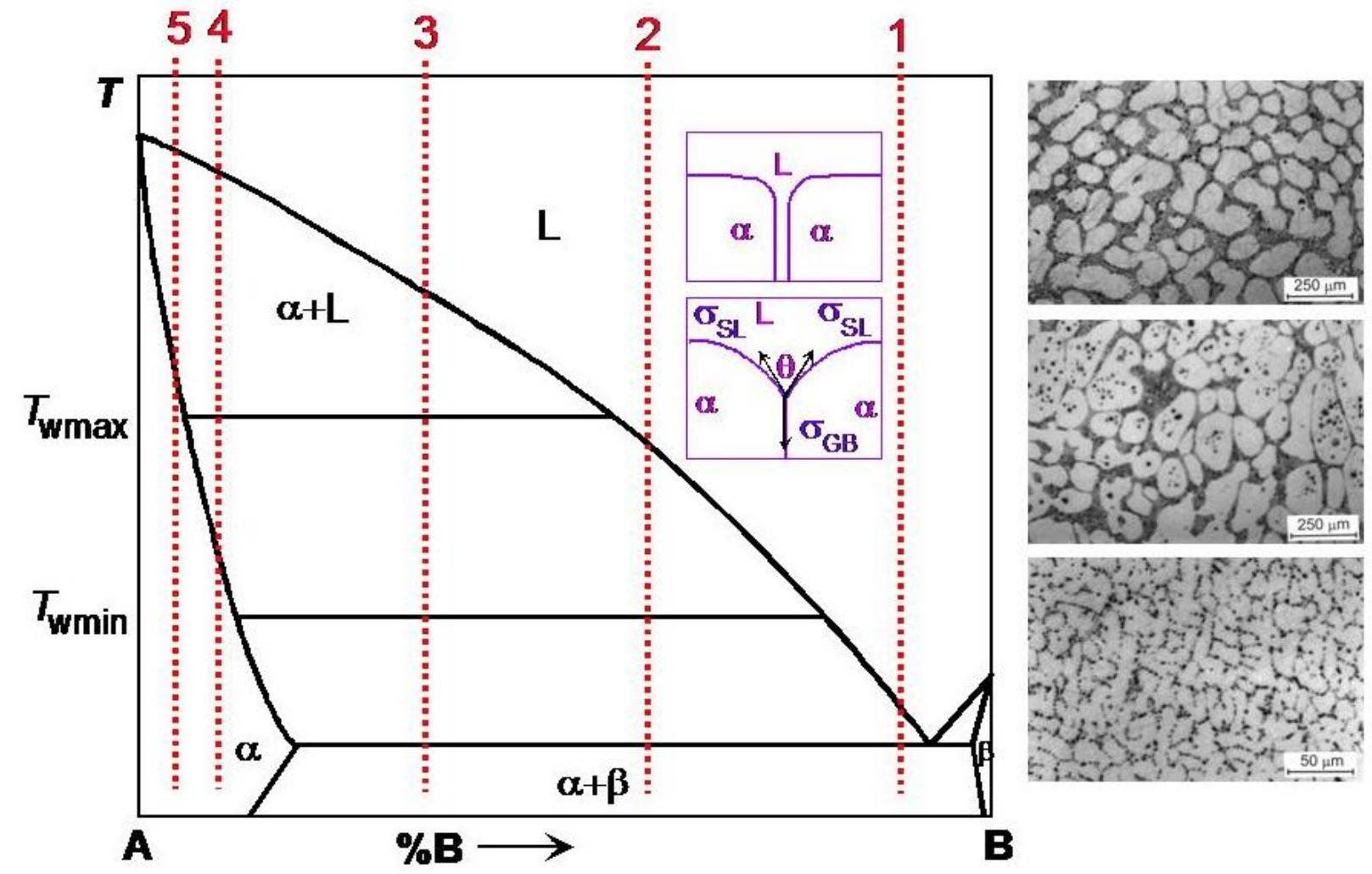 Figure 1 - from The Grain Boundary Wetting Phenomena in the