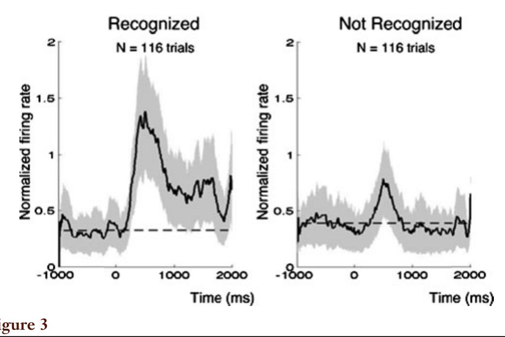 Neural activity and conscious perception. Stimulus perception can be manipulated by using short presentation durations and backward masking. In such conditions, perception varies from trial to trial even when identical stimulation parameters are used. The figure shows the average normalized firing rate of 29 MTL neurons during recognized and not-recognized trials (four trials in each condition). Note how the increase in neural activity corresponds with behavior. Reproduced from Quiroga et al. (2008) with ,; permission. ; 