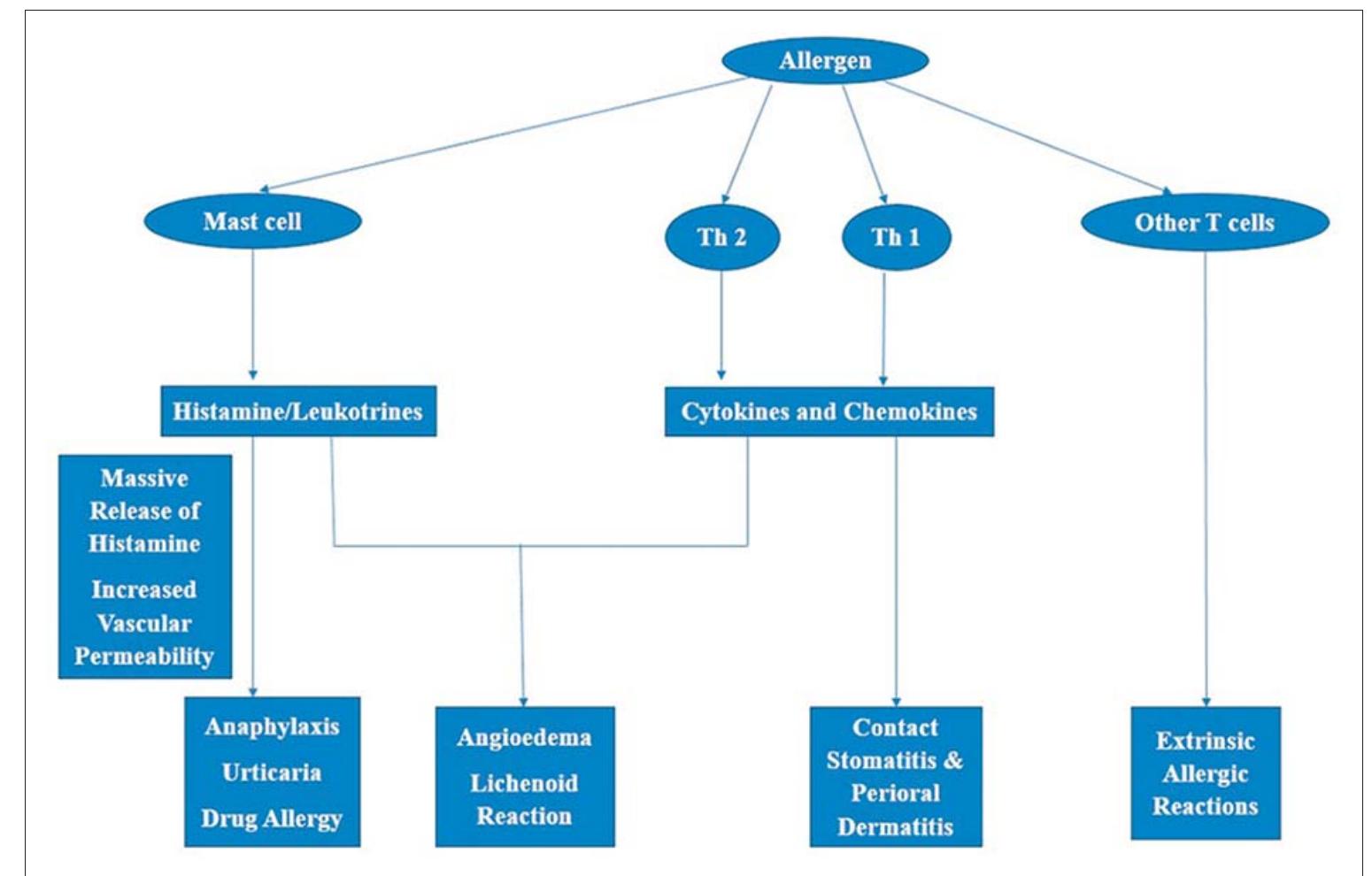 Flowchart representing the mechanisms of allergic